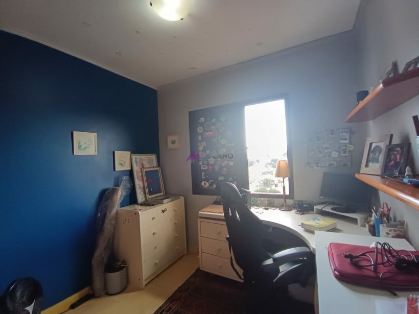 PP1573021.jpg