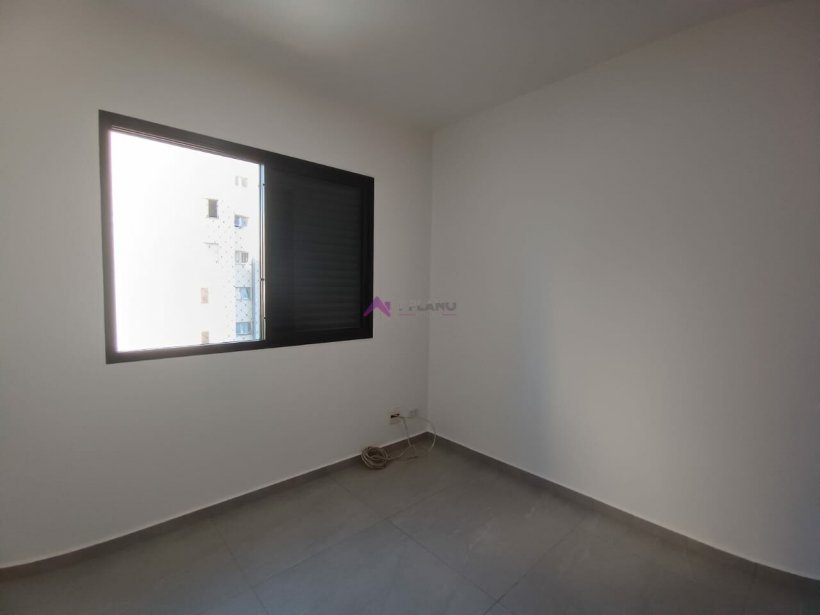 PP1190010.jpg