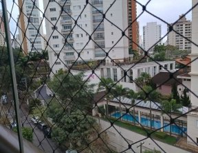 PP1803021.jpg