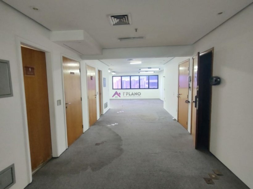 PP1592001.jpg