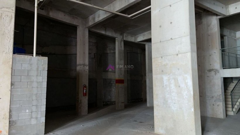 PP1675016.jpg