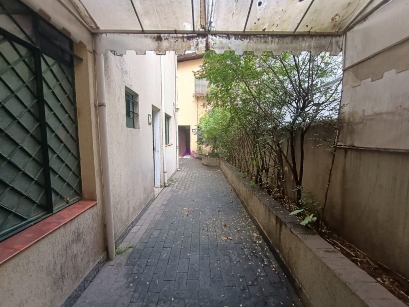 PP1748031.jpg