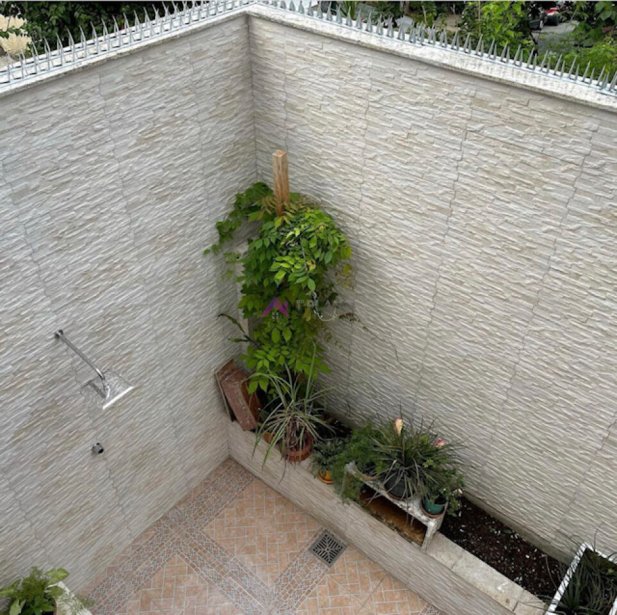 PP1532031.jpg