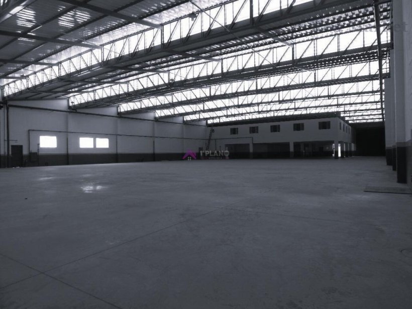 PP1673018.jpg