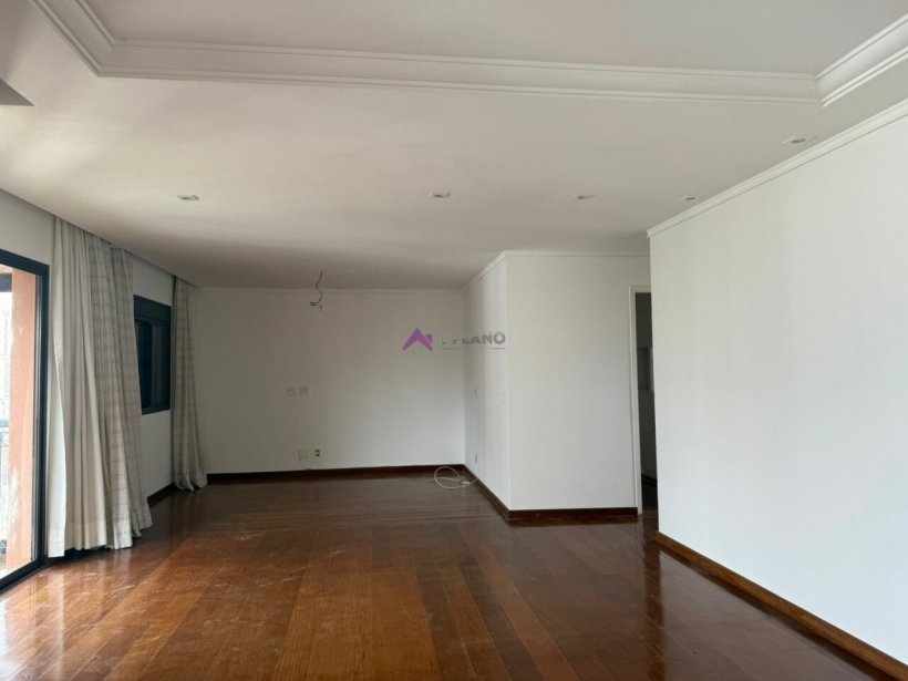 PP1008012.jpg