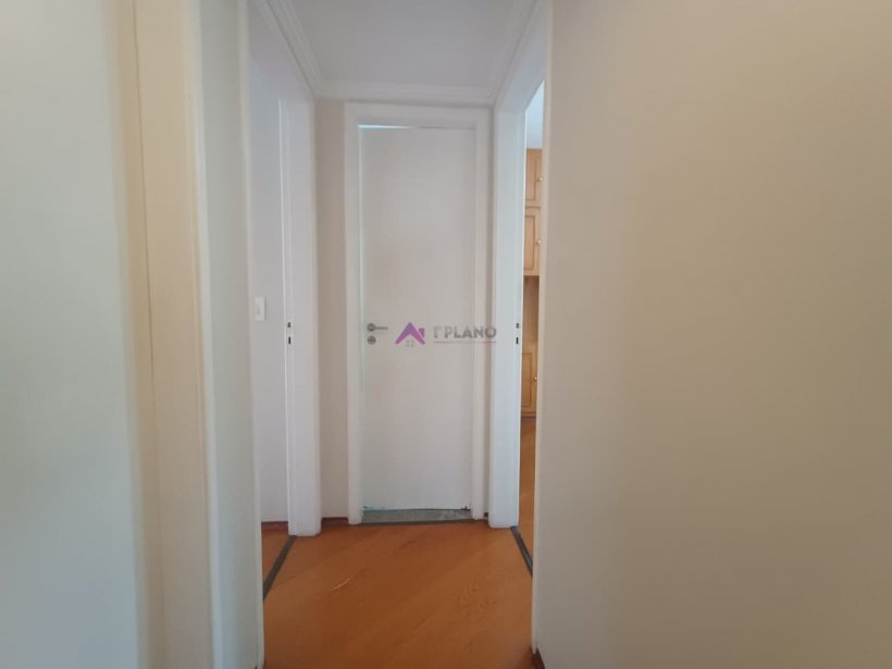 PP1871015.jpg