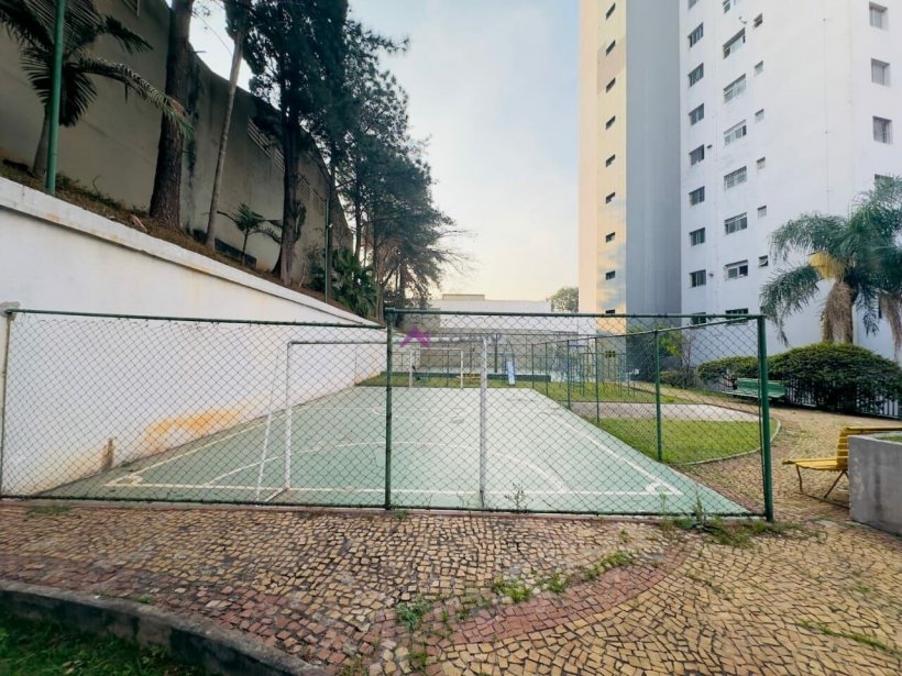 PP1139012.jpg