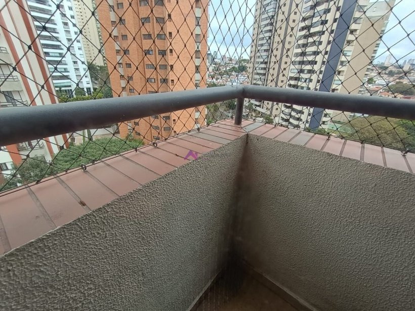 PP1749027.jpg