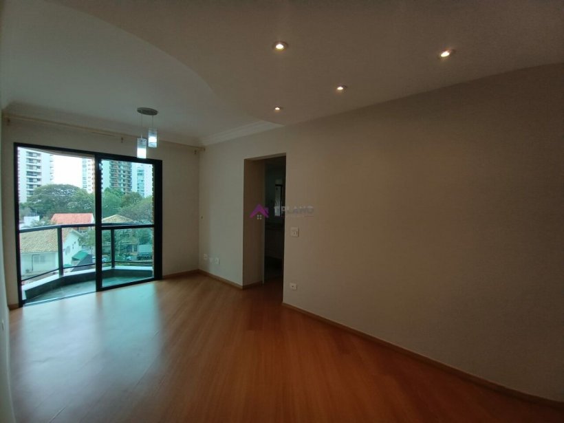 PP81006.jpg
