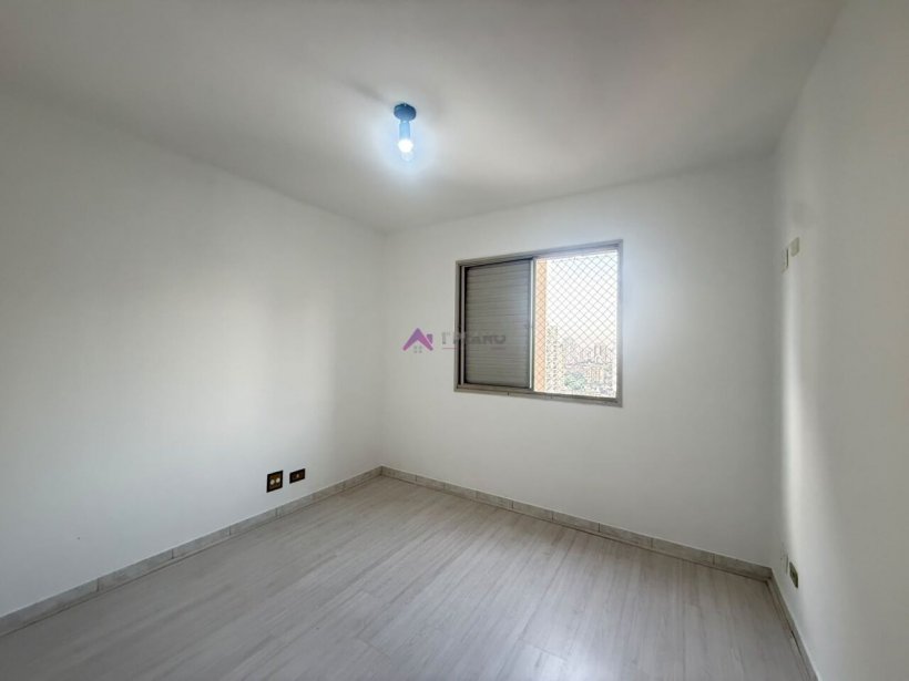 PP1767008.jpg