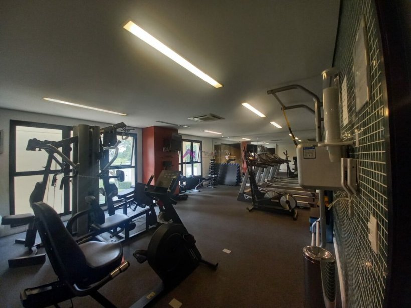 PP553027.jpg