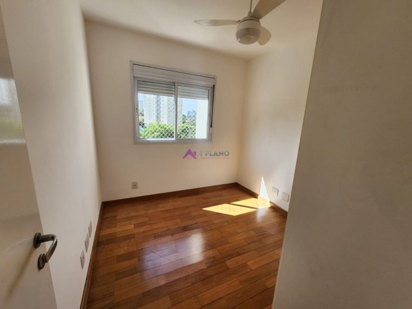 PP1788018.jpg