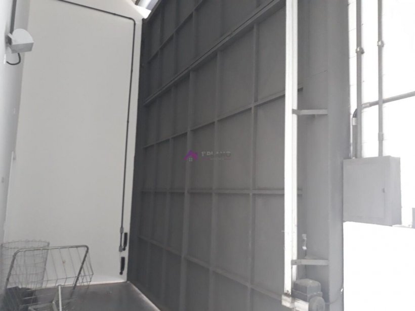 PP1670009.jpg