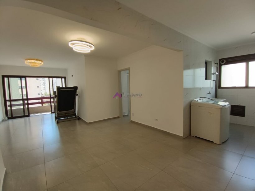PP1190009.jpg