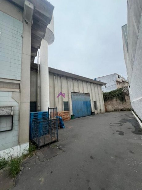 PP1662008.jpg