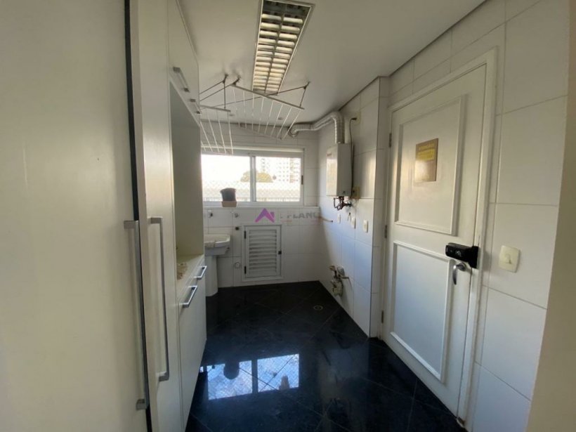 PP749025.jpg