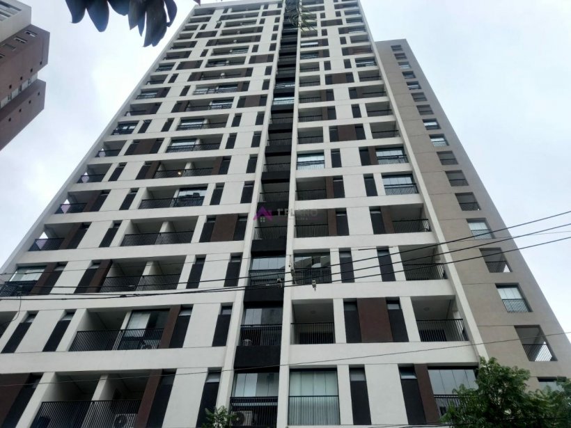 PP449008.jpg