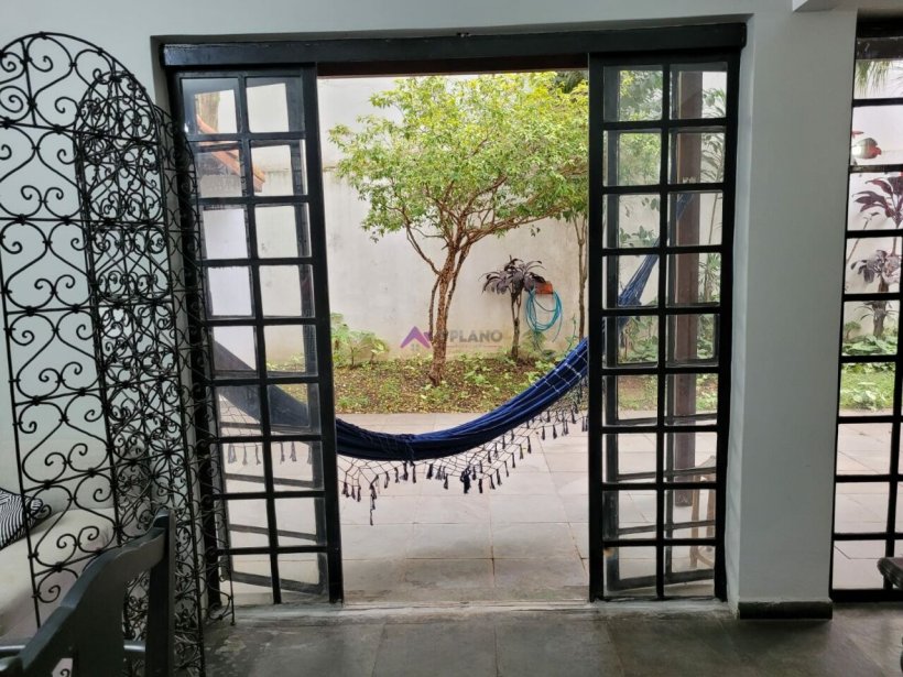 PP286013.jpg