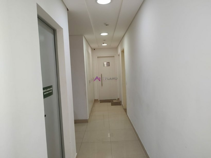PP781006.jpg