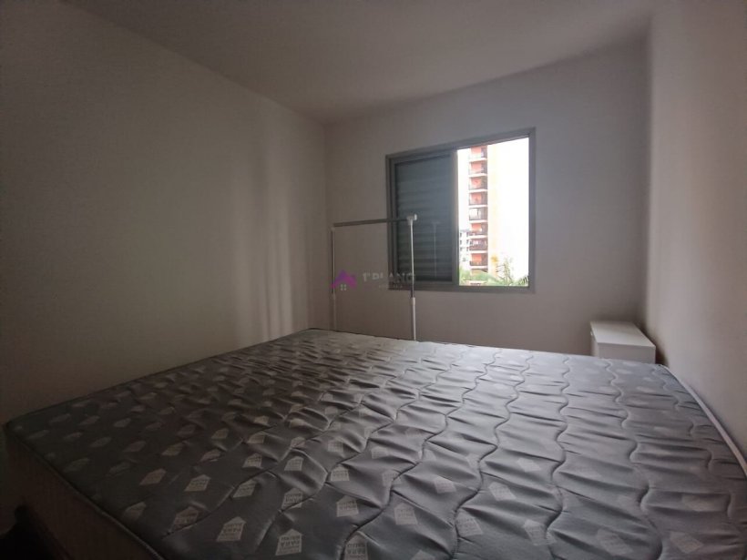 PP1657013.jpg