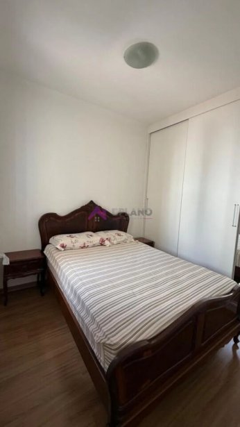 PP1565007.jpg
