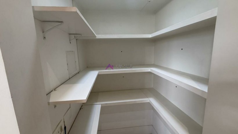 PP1393008.jpg