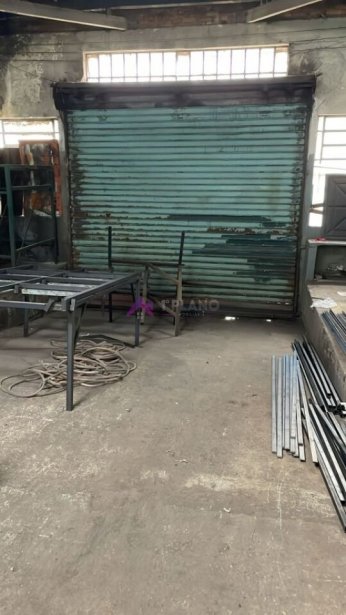 PP1682012.jpg