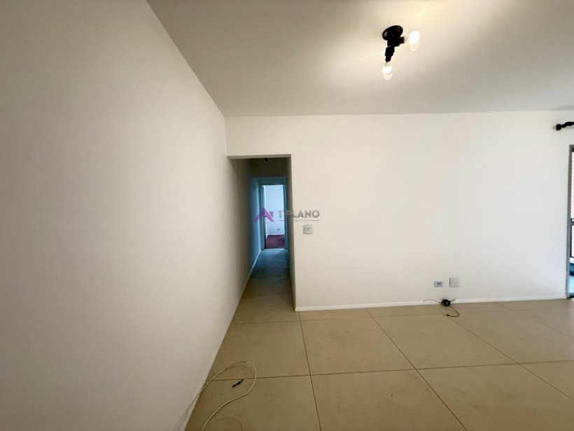 PP1543017.jpg