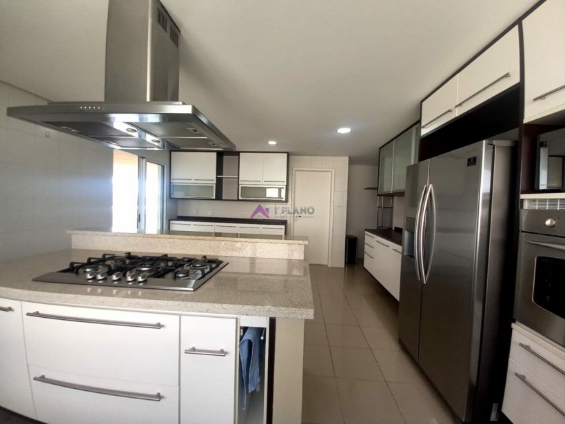 PP462030.jpg