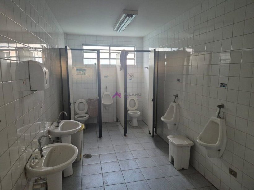 PP1705001.jpg