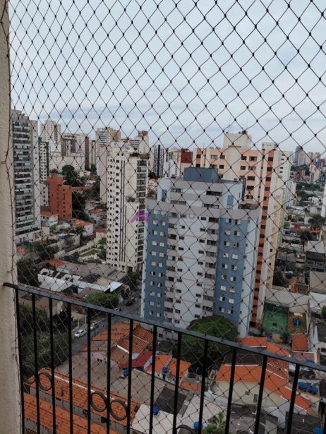 PP1852027.jpg