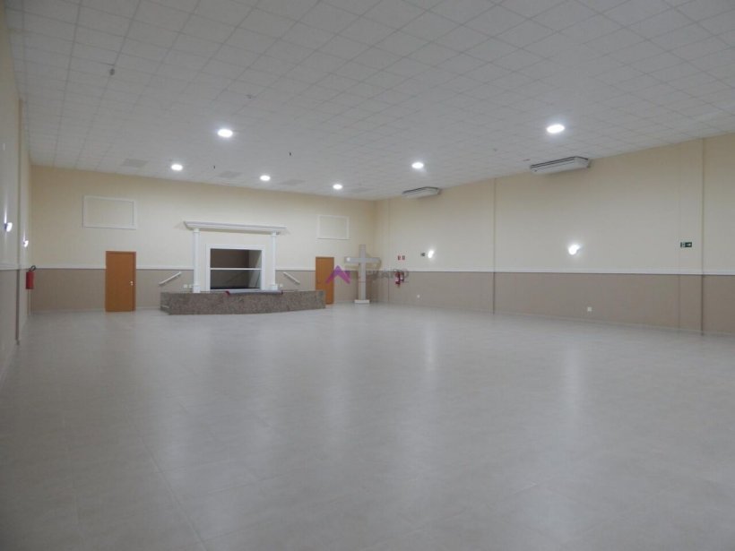 PP1669003.jpg