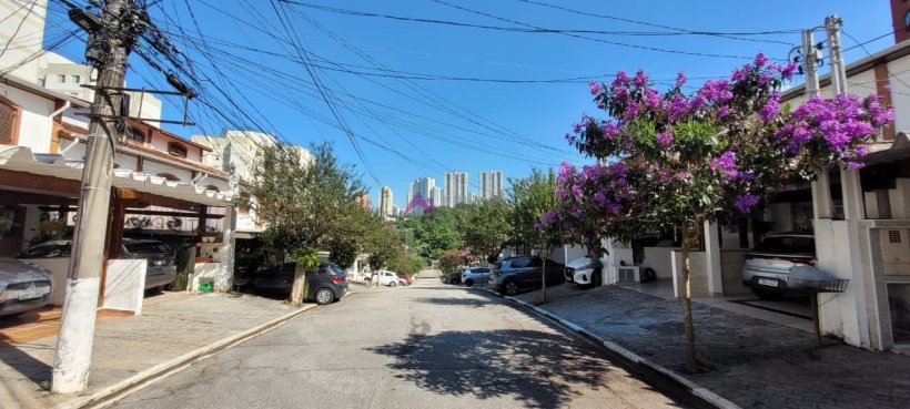 PP1731012.jpg