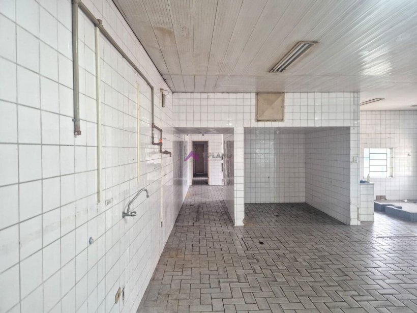 PP1737009.jpg