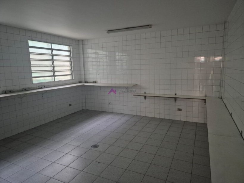 PP1705010.jpg