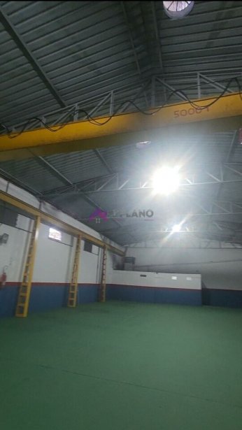 PP1562009.jpg