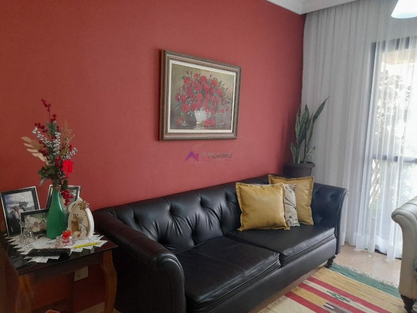 PP1564008.jpg
