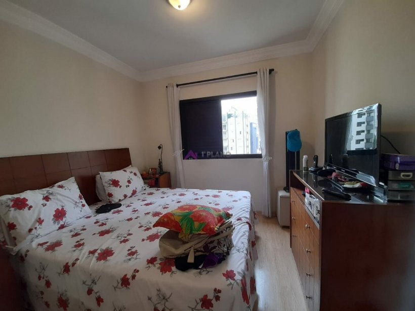 PP1564014.jpg