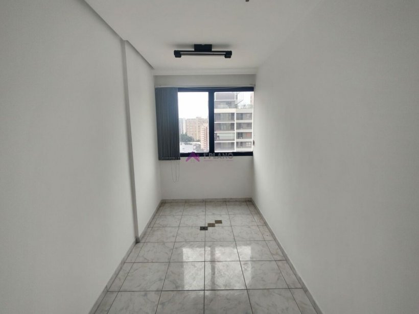 PP1593006.jpg