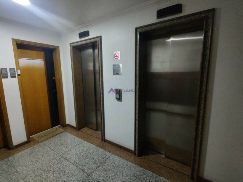 PP1592009.jpg