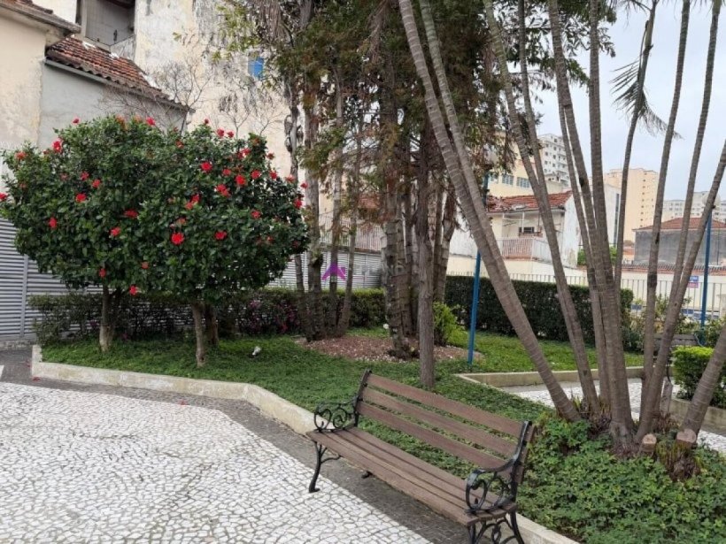PP1798027.jpg