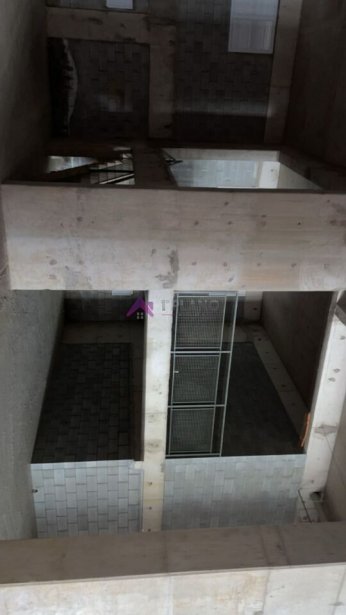 PP1675017.jpg