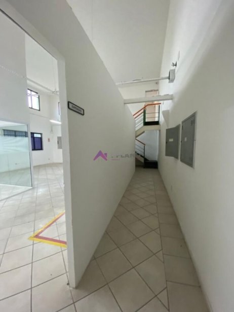 PP1684008.jpg