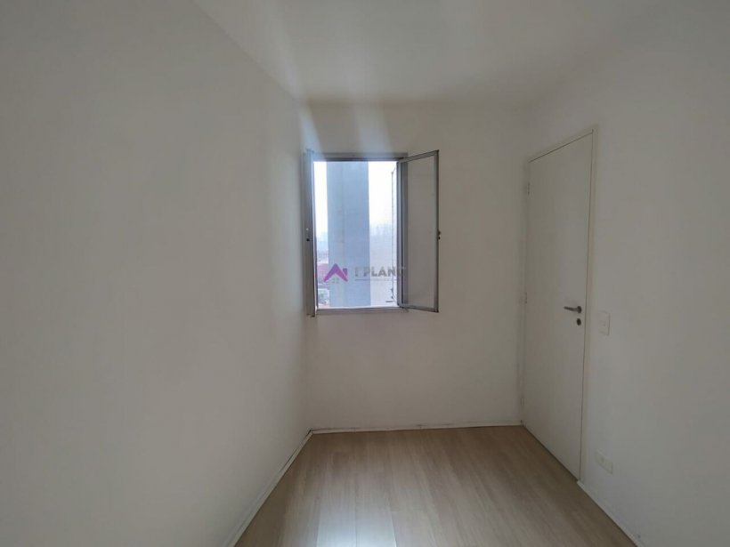 PP1551025.jpg