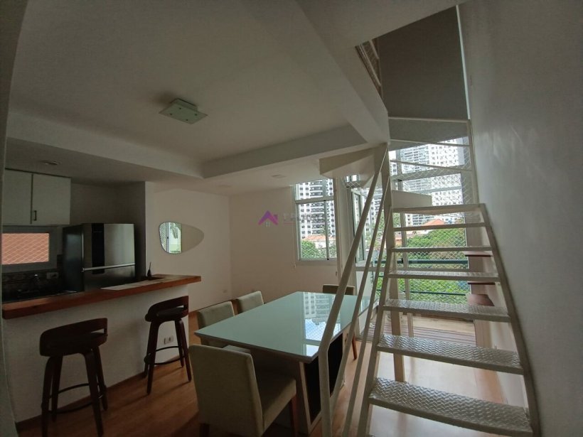 PP524021.jpg