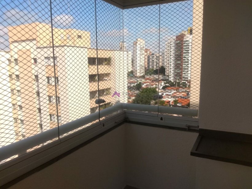 PP1615022.jpg
