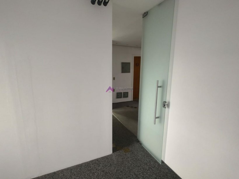 PP1592006.jpg