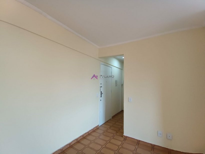 PP1130011.jpg