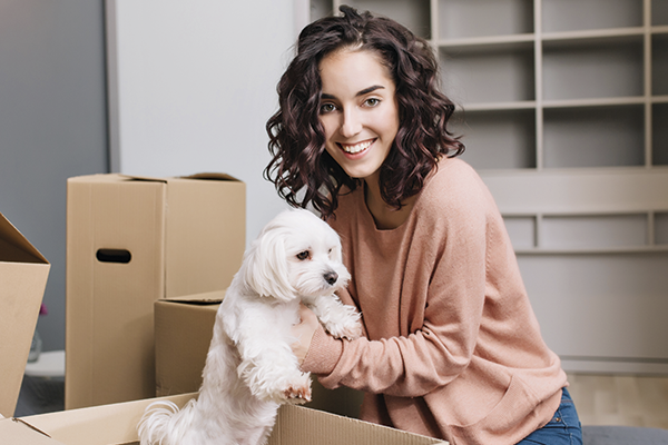Animais de estimação podem ser proibidos em locação residencial?