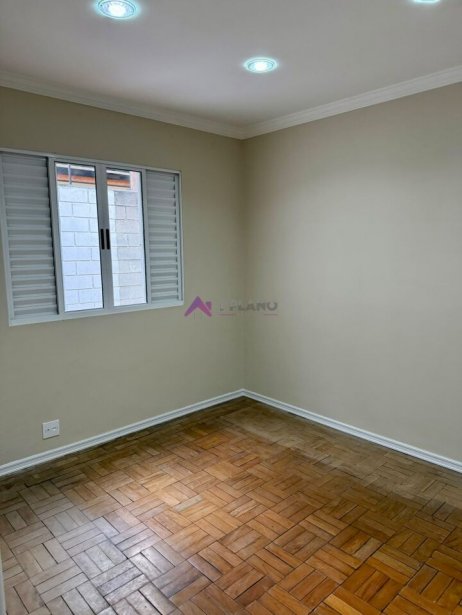 PP1568015.jpg